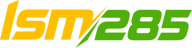 lsm285